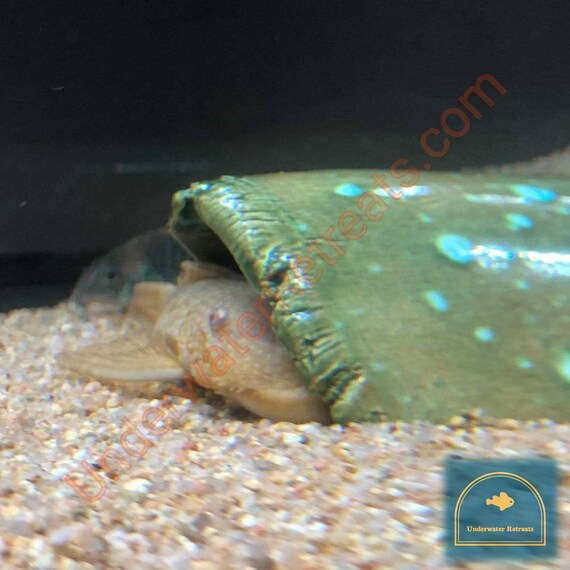Xxxl Hide Fish Tank Snake Reptile Axolotl Hamster Algae Etsy Xxxl Hide Fish Tank Snake Reptile Axolotl Hamster Algae Etsy