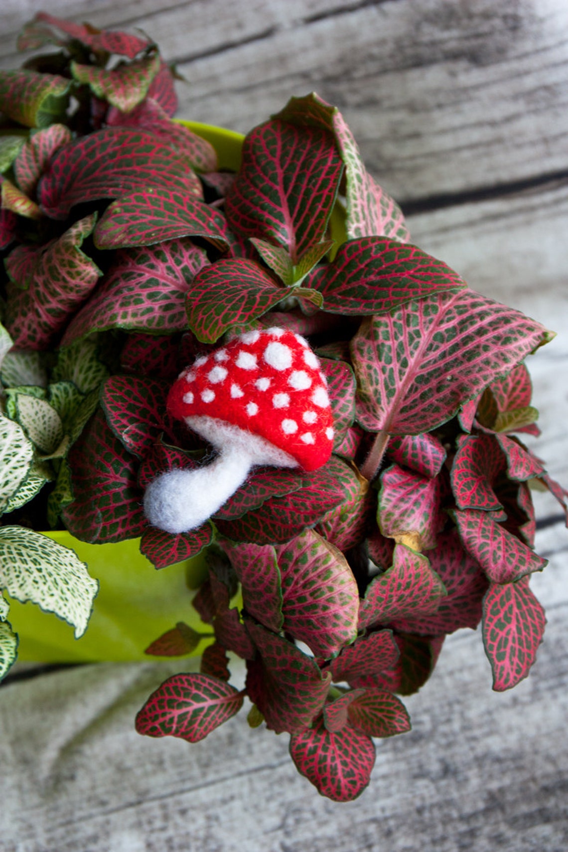 Mushroom Brooch Amanita Hand Felted Brooch Wool Plant Etsy
