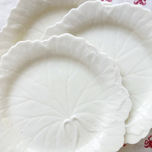 Cabbage Plates Etsy