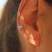 see more listings in the Ear Climbers section