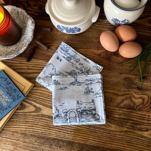 Blue Toile Cloth Napkins, set of 6, Double Sided Table Napkins, Everyday Lunch Napkins, Spring Table Decor, Cottage Core Decor, Gift Ready