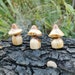 see more listings in the mushrooms / toadstools section