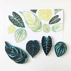 Carimbos de borracha de folhas, carimbos de folhas esculpidos à mão, plantas de interior, carimbos Cassastamps