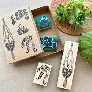 Jeu de tampons en caoutchouc botanique de plantes avec macramé pour les amateurs de plantes