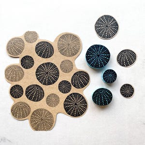 Stempels zee-egelschelpen, handgesneden stempels, stranddecor, strandstijl, zomerstempels