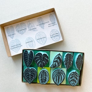 Handgesneden stempels met tropisch blad - mini plantenstempelset