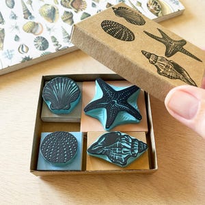 May include: A set of four seashell stamps in a cardboard box. The stamps feature detailed designs of a scallop shell, starfish, sea urchin, and conch shell. The stamps are black with a blue base.