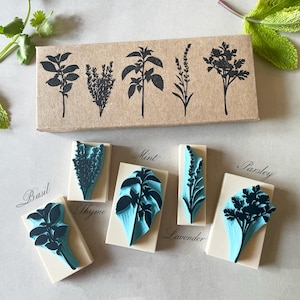 Peut inclure: Un ensemble de cinq tampons en bois rectangulaires avec des bases en caoutchouc bleu clair, chacun présentant une illustration botanique noire d'une herbe. Les tampons sont étiquetés Basil, Thyme, Mint, Lavender et Parsley, dans une boîte en carton brun.