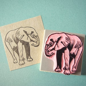 Timbro di gomma elefante, timbro di beneficenza, DSWT
