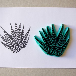 Haworthia, cactus succulent, tampon en caoutchouc, sculpté à la main, succulent zèbre