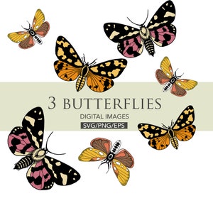 Butterfly bundle svg files, instant download butterfly designs, fully editable files, png,eps,svg, layered