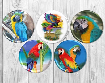 Parrot Pinback Party Buttons, Parrot Party Favor, Luau Party Theme, Tiki Bar Party, Tropical Bird Buttons, Island Party Parrots BB2149-5