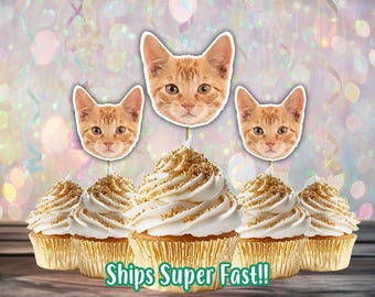 Custom Face Cupcake Toppers, Pet Photo Topper, Fun Party Hat, Personalized Cupcake Topper for Milestone Birthday, Head on Stick Decoration