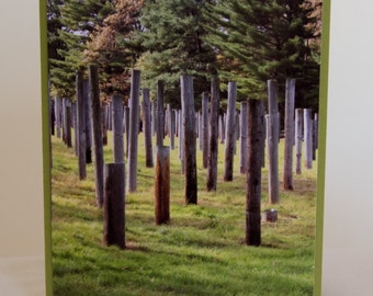 Thank You/_Telephone Poles