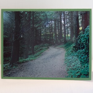 Sympathy_Path2