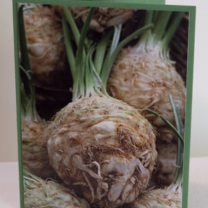 May include: Close-up of several celery root bulbs with green stalks. The bulbs are brown and white with a rough texture.