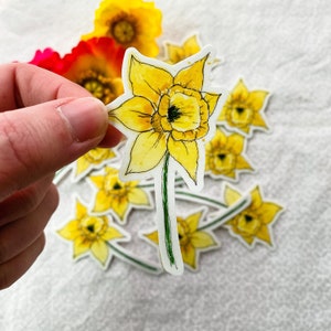 Daffodil March Birth Month Flower Sticker, Yellow Spring Flowers, Watercolor Floral Vinyl Decal Art Painting, Free Shipping, Gift Ideas