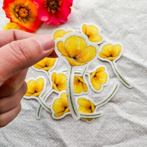 California Orange Poppy Watercolor Flower Sticker, Birth Month, Free Shipping, Floral Art Vinyl Decals, Gifts for Her Friends Family Teacher