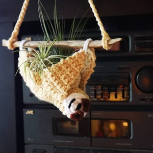 Perezcos colgadores de la planta de aire tillandsia pot pared colgando decoración linda