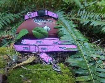 Pink Seattle Seahawks dog collar, leash or set