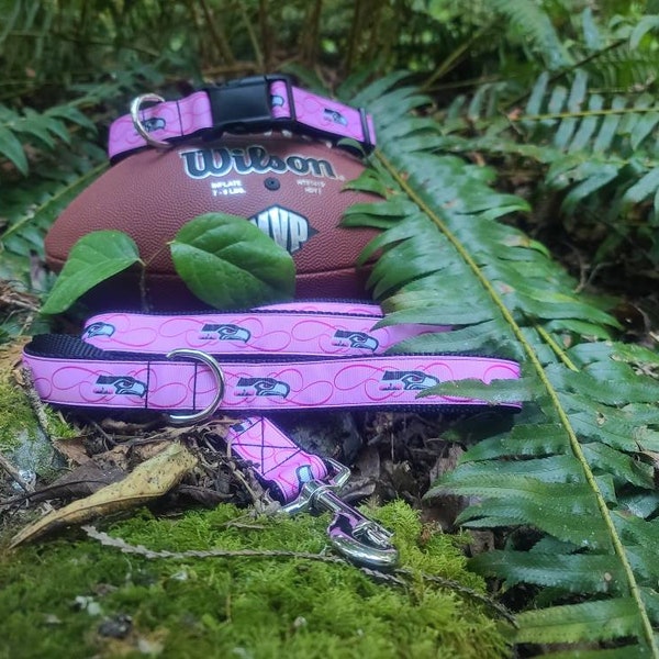 Pink Seattle Seahawks dog collar, leash or set