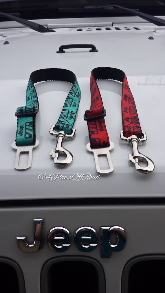 metal dog seat belt