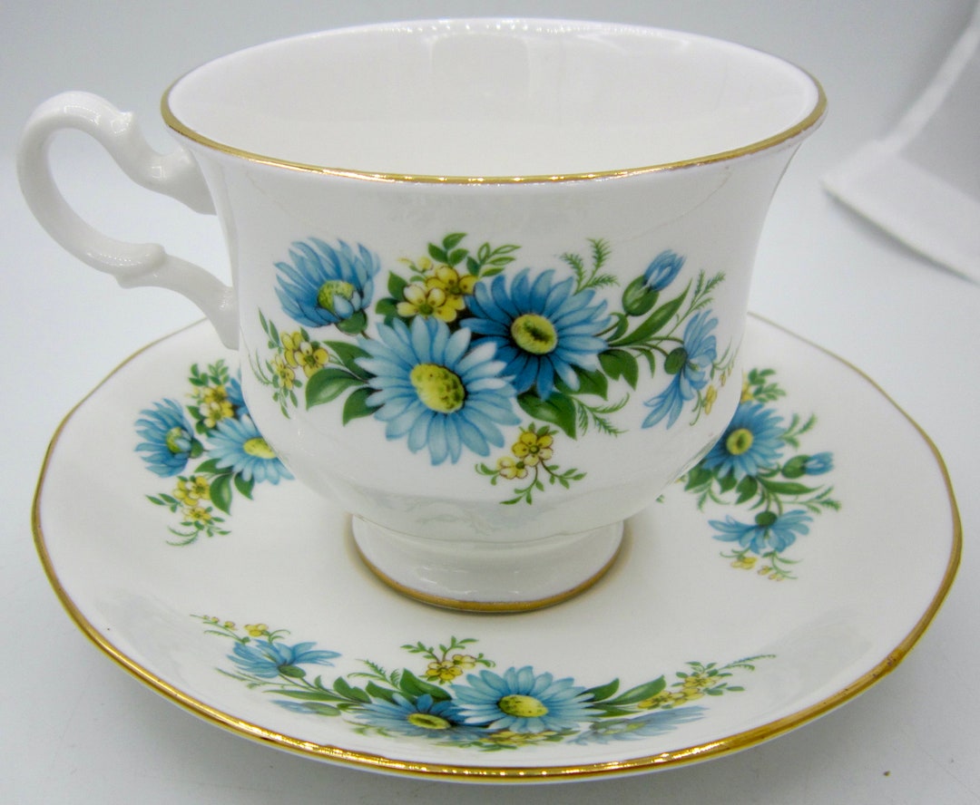 Queen Anne Bone China Tea Cup & Saucer 8542 Blue Daisies Etsy