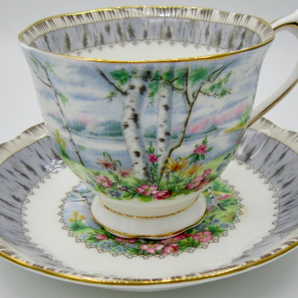 Royal Albert Silver Birch Bone China Teacup and Saucer - England