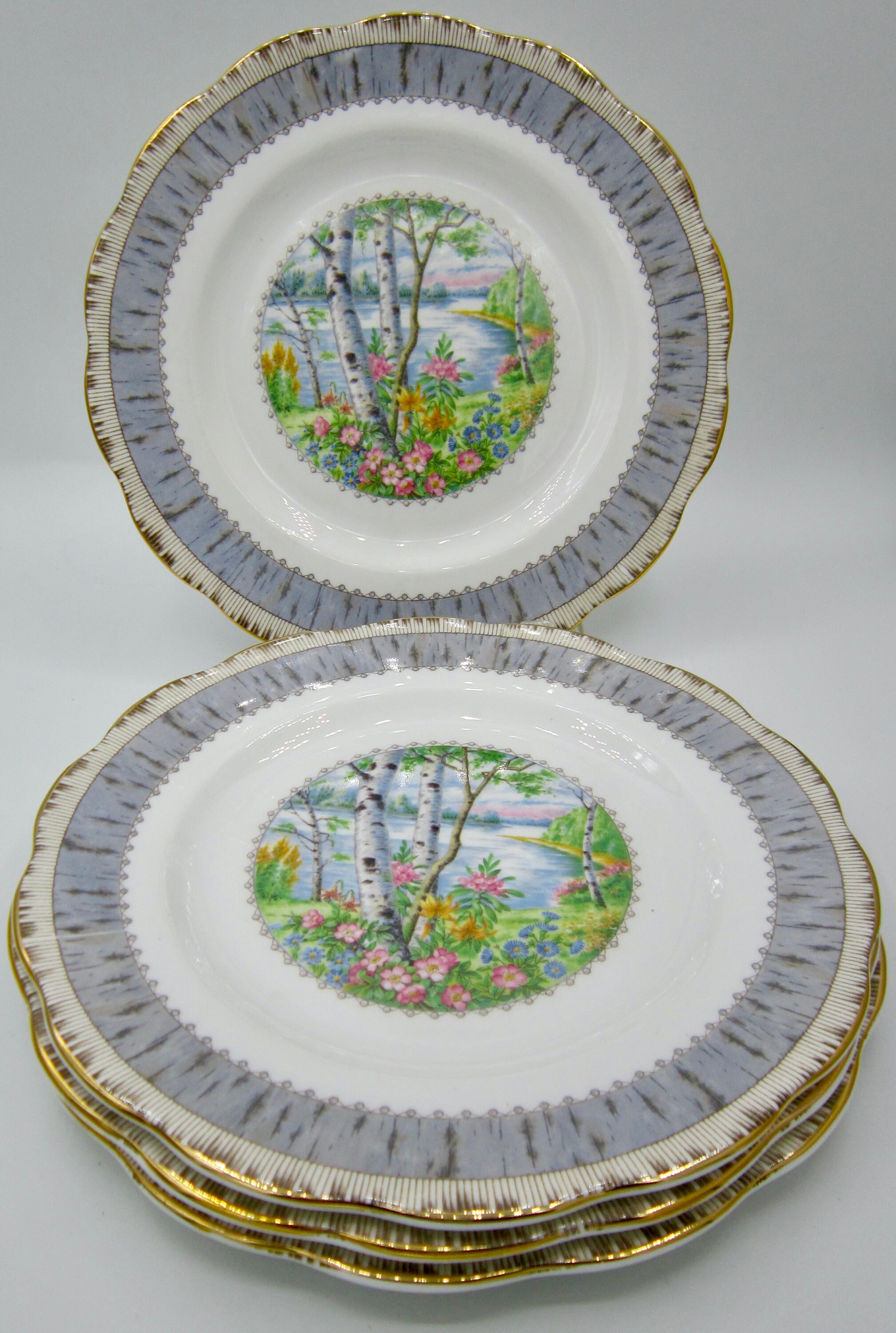 Silver birch china cheap