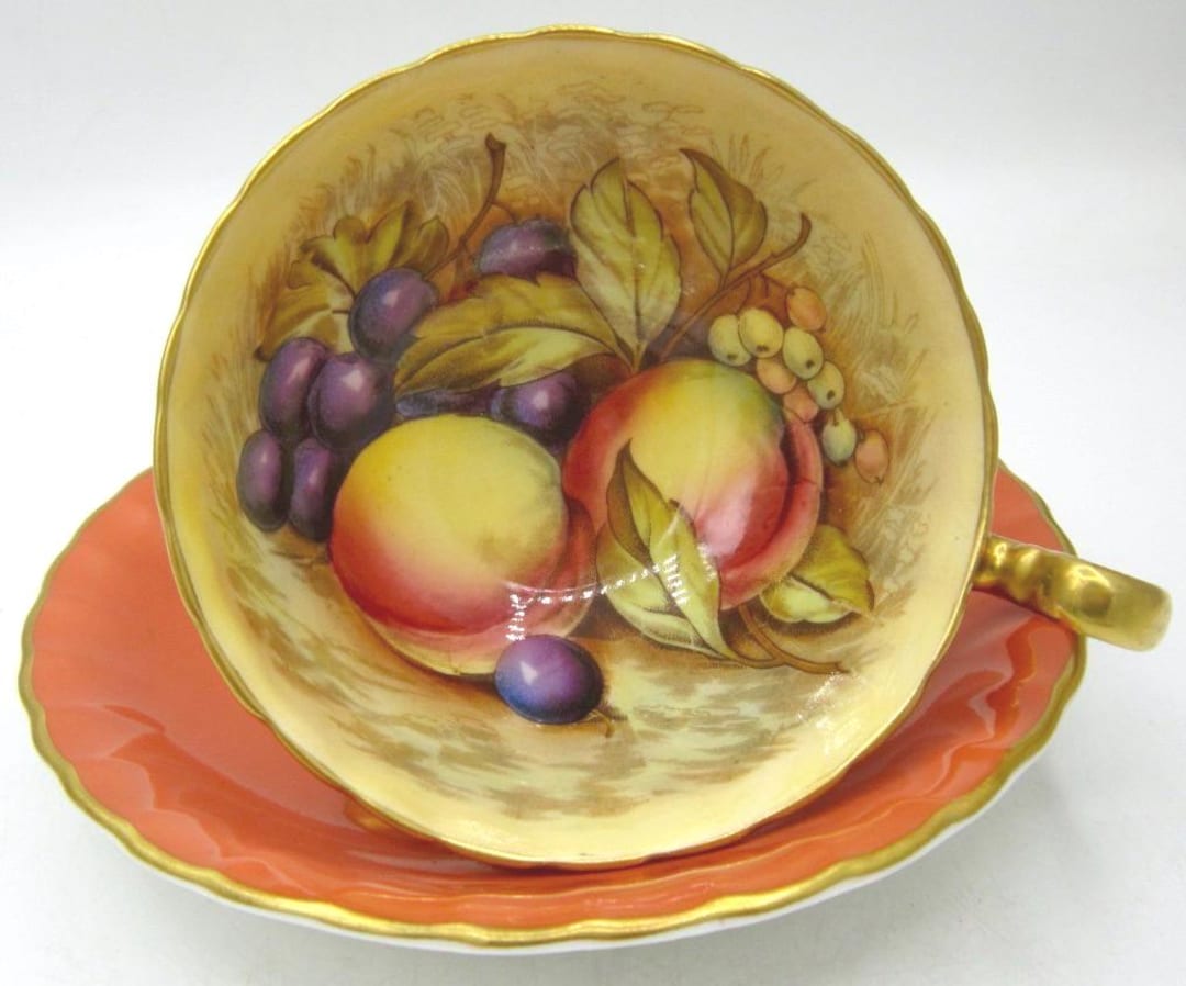 Aynsley Orchard (1034 Burnt Orange) Bone China Teacup and Saucer