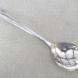 May include: A silver spoon with a floral design on the handle. The spoon has a rounded bowl and is polished to a shine.