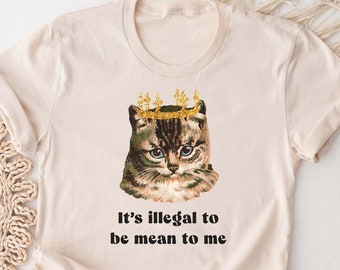 Cute Cat Shirt. Pet T-shirt Gift Idea. Animal Tshirt Present. Kitty Kitten Meow Feline Cats Foster Kit Lover Tee Being Mean to Me is Illegal