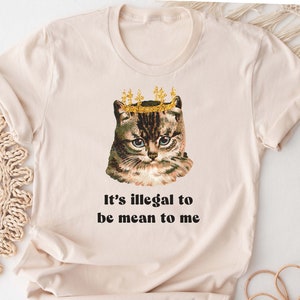 Cute Cat Shirt. Pet T-shirt Gift Idea. Animal Tshirt Present. Kitty Kitten Meow Feline Cats Foster Kit Lover Tee Being Mean to Me is Illegal