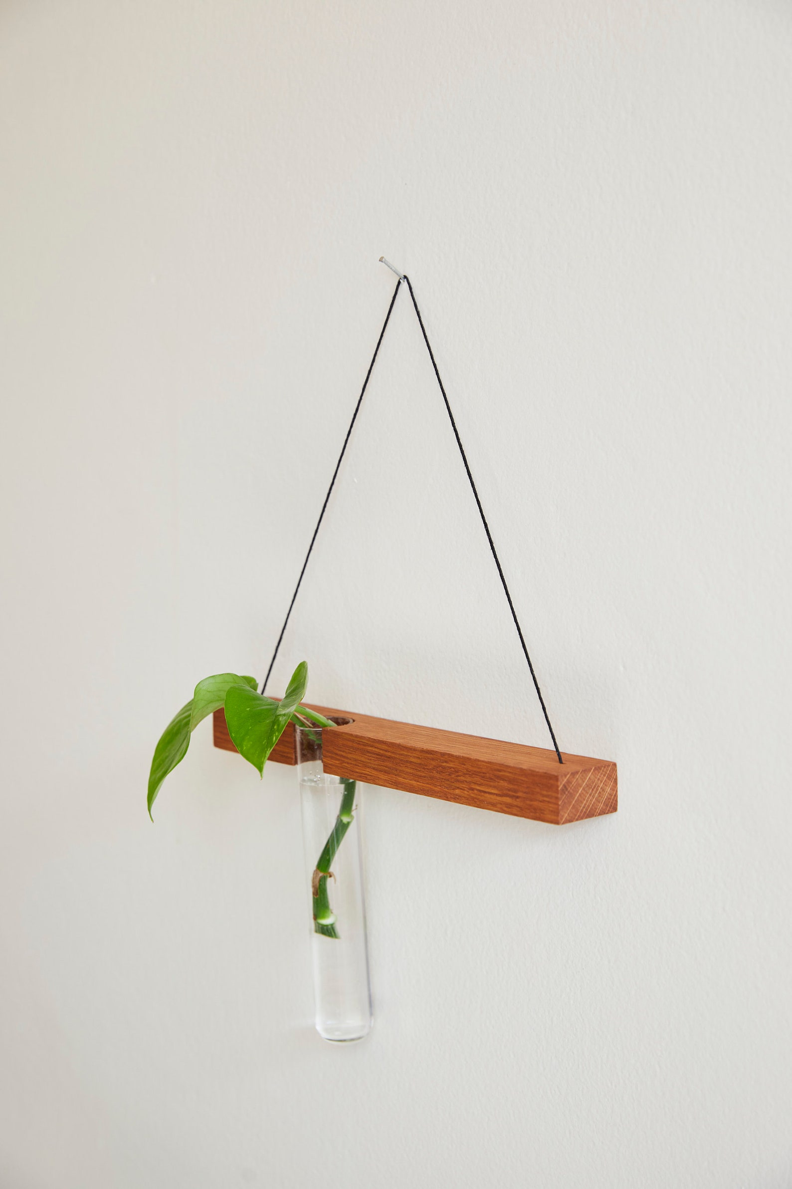 Hanging Propagation Station Plant stand Plant Hanger Oak Etsy