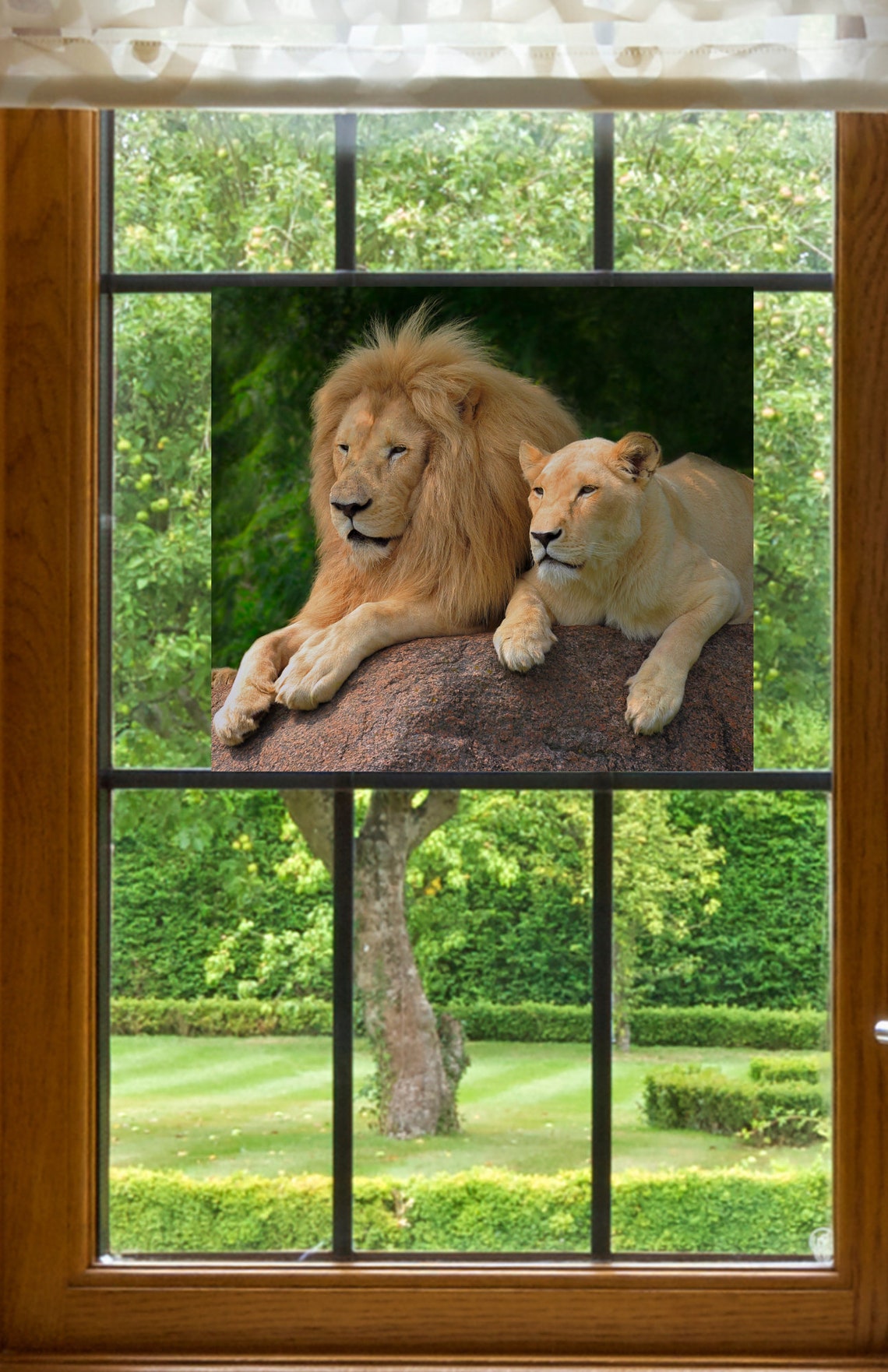 Lion Couple WINDOW CLING Realistic Nature Photo Stained Etsy