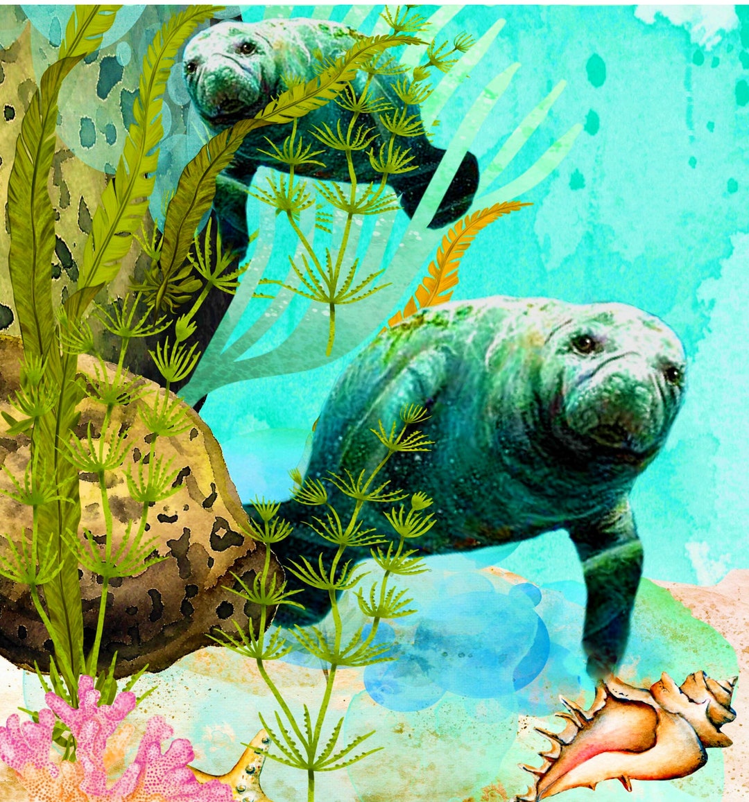 Manatee WINDOW CLING Sweet Chubby Mermaids Suncatcher - Etsy
