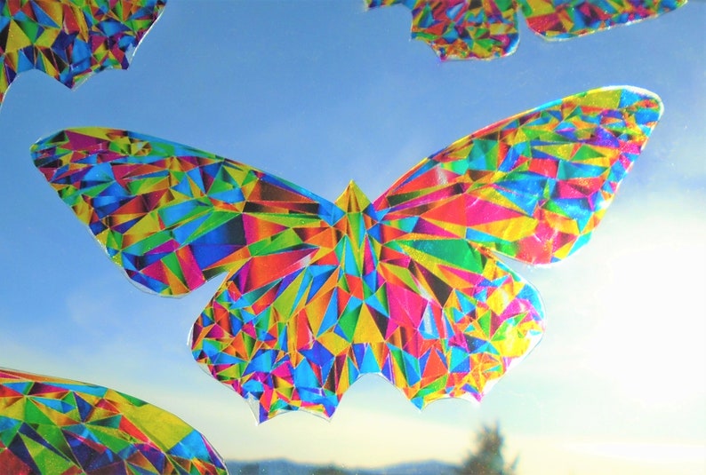 window collage butterfly cut out window collage butterfly cut out