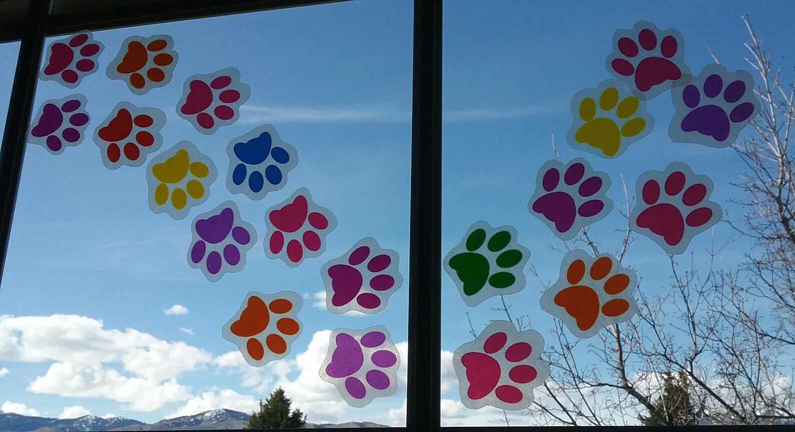 pet-paw-print-window-clings-suncatcher-decals-cat-dog-etsy