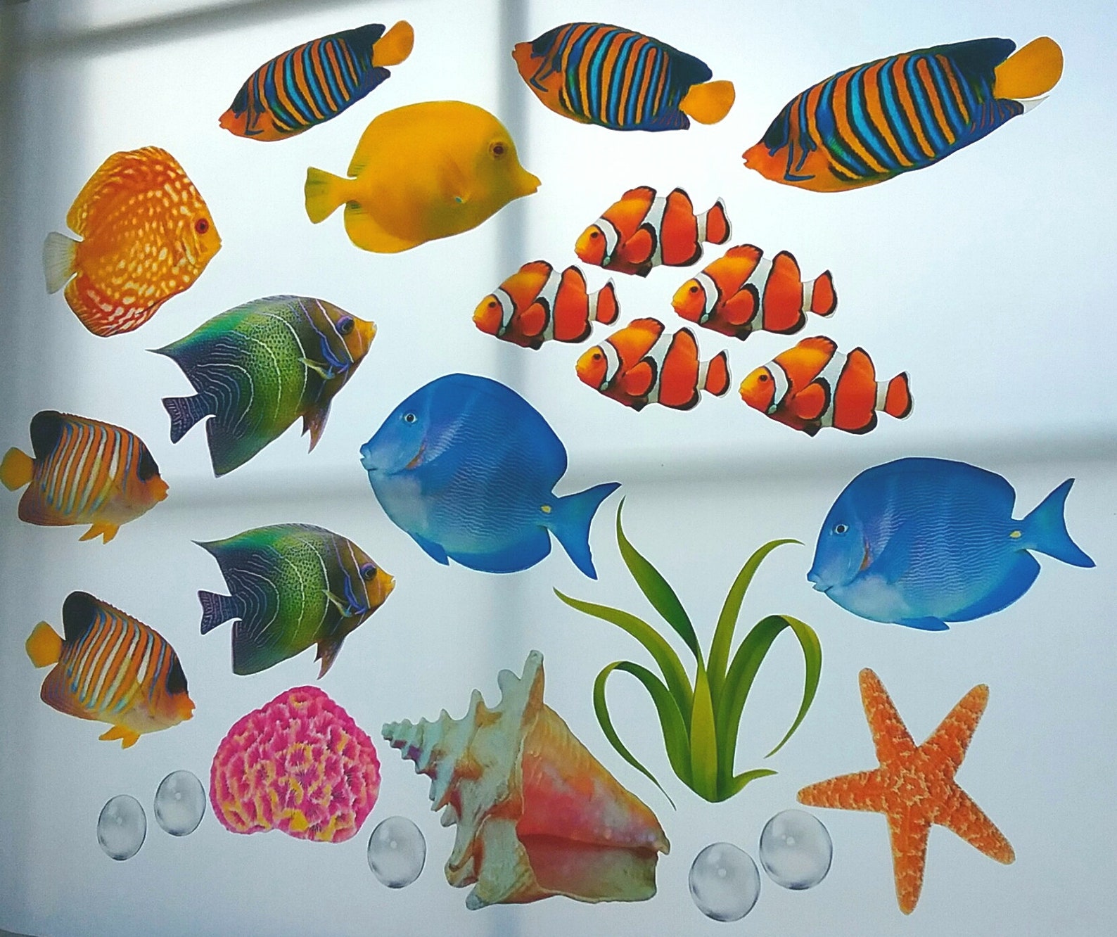 Tropical Fish Window Clings Stained Glass Color 25 Etsy