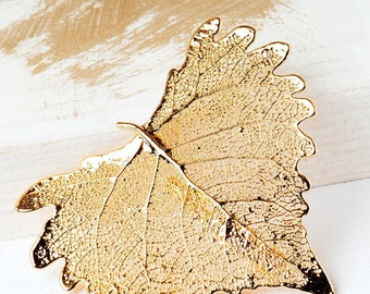 Cottonwood Brooch, Real Leaf Brooch, Nature Lovers Gift, Gold Leaf Brooch, Leaf Jewellery, skeleton Leaf Brooch, Gold Leaf Pin, Autumn Leaf