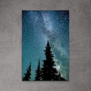 Milky Way Canvas Starry Night Fine Art Photography, Blue Night Sky Photography Tall Trees and Milky Way Galaxy, Astronomy Canvas Wall Art