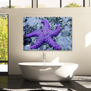 Purple Starfish Canvas Photography, Seascape Coastal Wall Art Beach Decor Coastal Landscape Fine Art Photography Beach House Bathroom Art