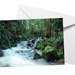 Carte photo de cascade, photographie de nature Carte de vœux vierge par Shel Neufeld, forêt côtière verdoyante et cadeau d’impression de cascade pour papa
