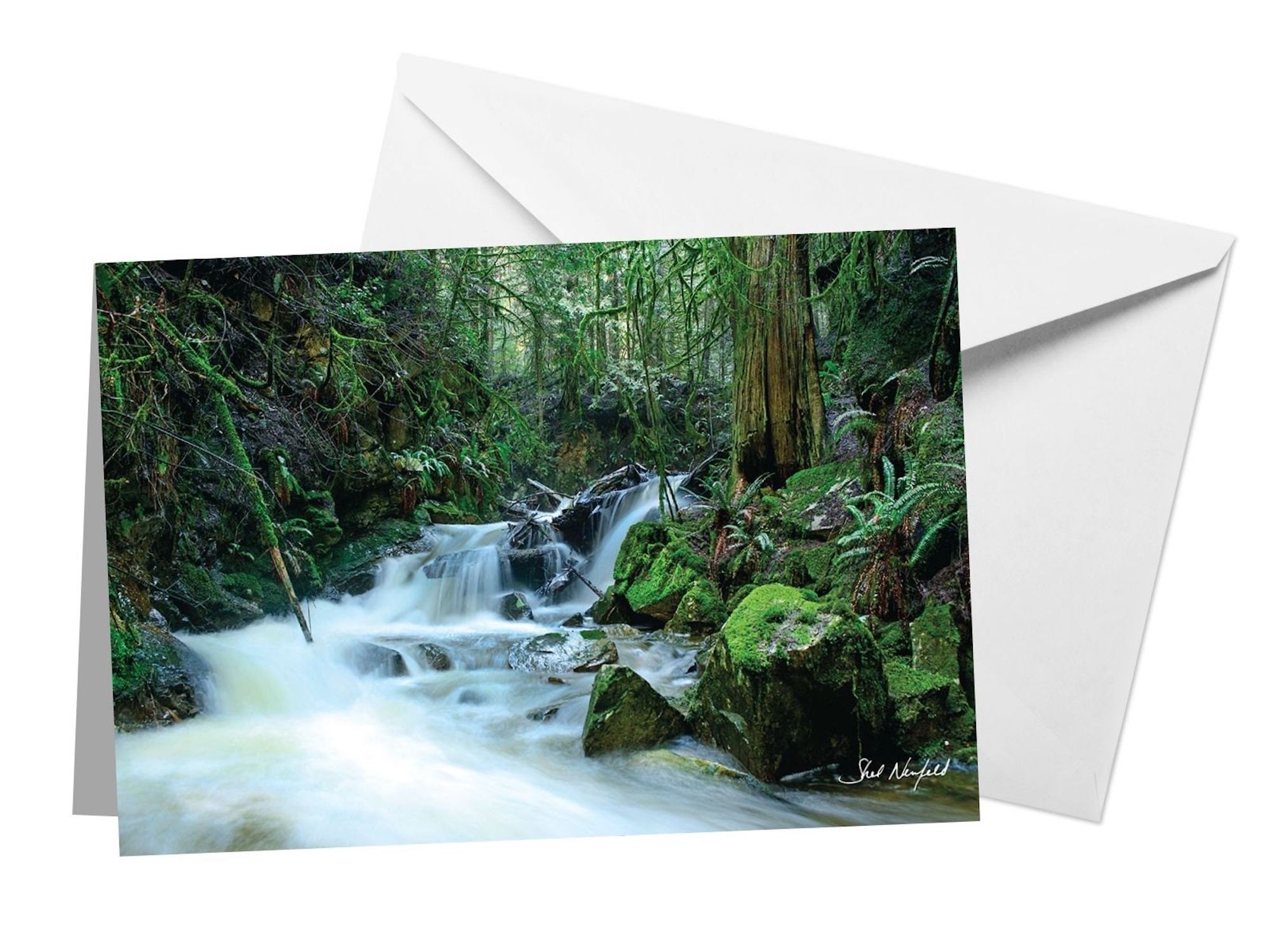 Waterfall Photo Card, Nature Photography Blank Greeting Card by Shel Neufeld, Lush Green Coastal Forest and Waterfall Print Gift for Dad