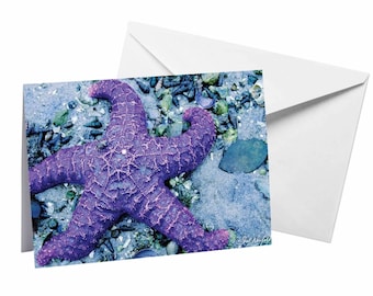 Puede incluir: Una estrella de mar púrpura vibrante sobre un lecho de arena azul y gris y conchas.