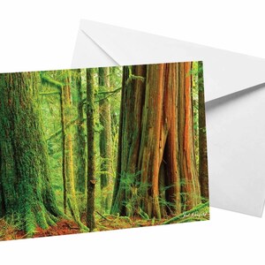 Uralter Wald Karte, Blanko Grußkarte Alter Wachstumswald Blanko Notizkarte von Shel Neufeld, Waldlandschaft Fotodruck Naturliebhaber