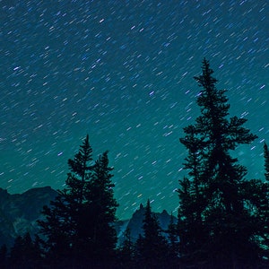 Mountain Night Print Photography, Astrophotography Canvas Print, Fine Art Photography Mountain Tree Landscape Home Decor by Shel Neufeld