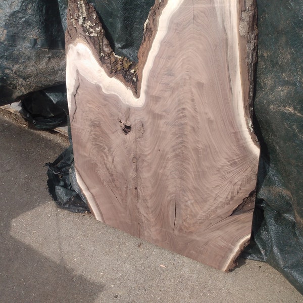 Black Walnut Live Edge Slab Kiln dried and Planed