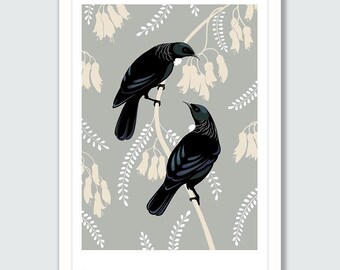 New Zealand Tui Pair - Giclee art print