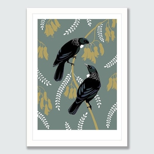 New Zealand Tui Pair - Giclee art print